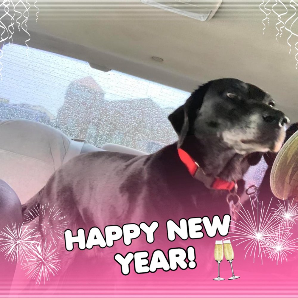 Meet your Posher, Jenn